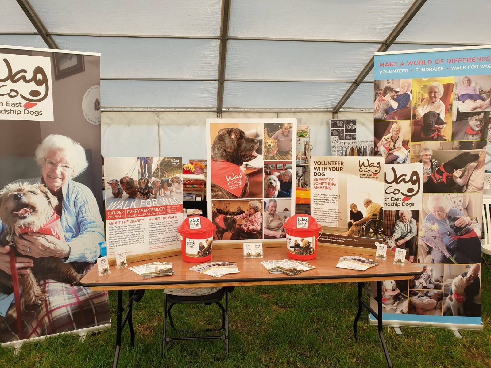 Come and see Wag at the North East Dog Festival Wag & Company