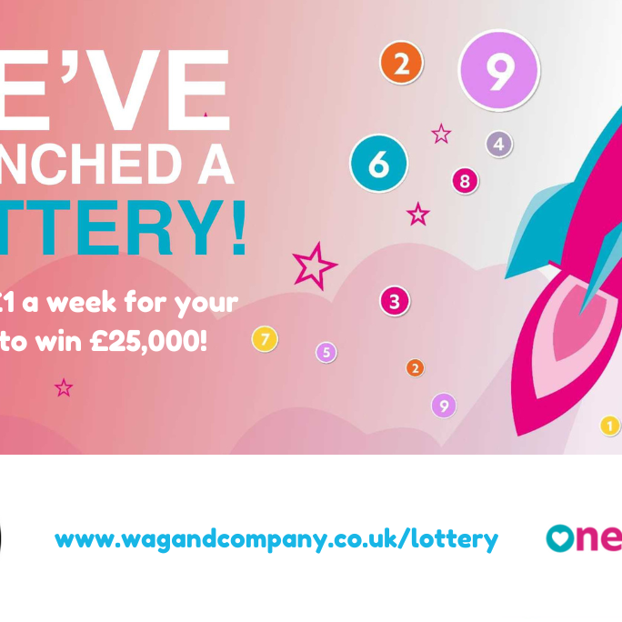 OneLottery launch
